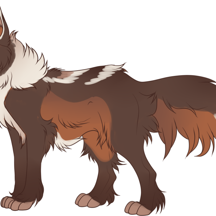 Brown wolf natural design adopt - YCH.Commishes
